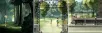 chapter-04-invistigate-in-the-woods-01