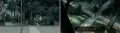 chapter-04-invistigate-in-the-woods-02