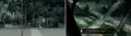 chapter-04-invistigate-in-the-woods-02