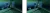cd.007