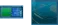 Survaillance_shortcut_gmap
