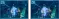vmap_effect_skidAttack_scyphozoa