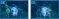vmap_effect_skidAttack_scyphozoa